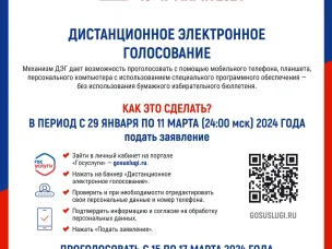 5 и 6 марта нижегородцы смогут принять участие в тестовом дистанционном электронном голосовании